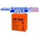 Ắc Quy Globe WP5-6 6V 5AH