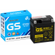 Ắc quy GS GTZ6V 5AH