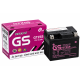Ắc quy GS GTZ5S 3.5AH