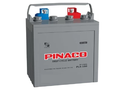 AC QUY PINACO PL8-190 ( 8V-190Ah)